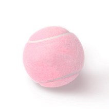 [9월픽]핑크 테니스 공 숙녀 초심자 훈련 공 내마모성 고탄성