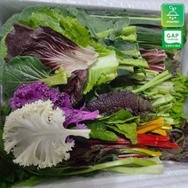 모듬채소 20종 클로렐라 쌈채소 상추 샐러드 유러피안 야채 600g-800g, 1박스, 클로렐라쌈채소 800g