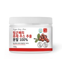 자연바름 링곤베리 퓨레 주스 분말 가루 100% 첨가물 없는 순수 링곤베리 750% 고농축, 120g, 1개