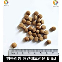 진돗개균형잡힌식단영양사료월강아지월강아지사료 포메사료추천