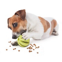 훈펫 [2+1디자인사이즈랜덤]강아지장난감 스낵볼 츄잉볼 강아지용품 노즈워크, 1개, 그린(5cm)