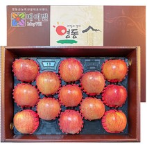 영동사과 선물세트 5kg (부사 13과) 산지직송 맛있는 햇사과, 단품
