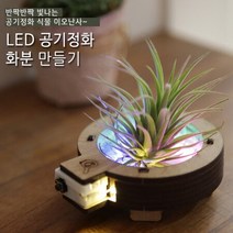 LED 공기 정화 화분(탄소중립), 단품