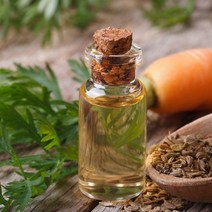 새로핸즈 천연 아로마 에센셜오일 캐롯씨드 당근씨오일 30ml, 단품