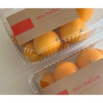 탐스러운 제주 서귀포 황금향 선물용 가정용 3kg /4kg//5kg 제주 특산물, 황금향 3kg (선물용)
