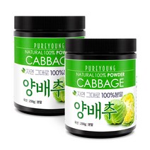 퓨어영 국산 양배추가루 250g, 국내산양배추가루250gx2통, 2통