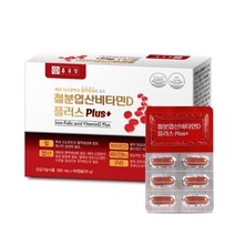 철분 엽산 400 임신 준비 초기 영양제 60정