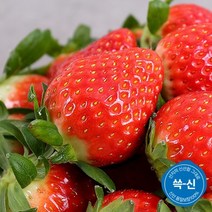 (쓱-신) 쓱신 산지직송 김천농협 설향 딸기 800g이상 (30-35구)