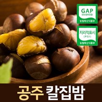 2021 햇밤 충남 공주 대보 정안밤 옥광밤 대보밤 에어프라이어 칼집밤 4kg, 칼집대보밤(대)4kg, 1개