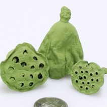 앨리플라워 프리저브드 소량 판매 드라이플라워 디퓨져만들기, 7-15연밥 그린