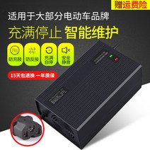 전동차 전동 삼륜차 대출력 축전지 충전기 48V60AH60V80AH72V96V천능 전차 통용, T02-48V45AH T멀티