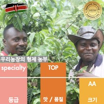 캅카와 생두 케냐 AA TOP 케리초 (뉴크롭), 5kg