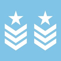 랩핑 데칼 끈적 오프로드 스티커 군사 스타 갤런 미국 육군 모험 스포츠 팩 단위 자동차 자전거 오토바이, 02 WHITE_02 15cm