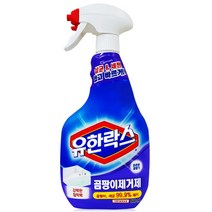 유한락스 멀티액션 곰팡이 제거제, 1개, 510ml