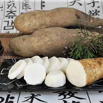 안동마 참마 마사토 산마 3kg (실속) 산지직송 / 마 안동참마 생마 [산들정], 1개