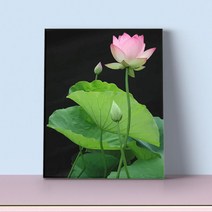 명화그리기 아크릴화그리기 집순이취미 연꽃 DIY 유화색칠하기 명작 40x50cm 단단한 나무 프레임 페인팅 유형 B 04