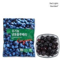 딜라잇가든 냉동 유기농 블루베리 500g x 2, 단품없음