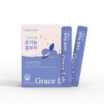 그레이스랩 유기농 콤부차 5g, 10박스(300포) - 21%추가할인