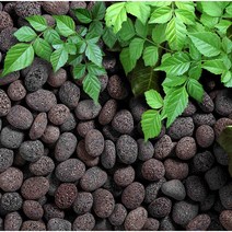 마당꾸미기 정원꾸미기 정원석 화단석 정원데코 조경석 정원돌 바닥돌 마당돌 10kg, 화단석정원석(라바블랙)15kg