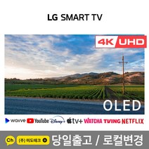 LG 77인치 4K 올레드 스마트 UHD TV OLED77CX 스마트뷰, 4. 지방권역 벽걸이 +상하브라켓