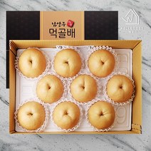 [웰굿]남양주 명품 먹골배 선물세트(7.5kg 10-12과 중-대과), 상세 설명 참조