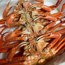 국내산 청정 바다 독도 홍게 6kg 자숙 붉은대게, 라면용 (수율 40~60%)