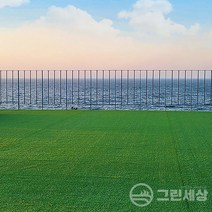 그린세상 국내산 조경용 고밀도 인조잔디 폭2M X 길이5M 재단판매 3평시공, PX2000, 폭2M x 길이5M(3평), 1개