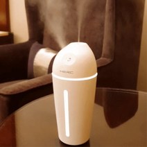 수분부족방지 피부보습 가정용 가습기 기분UP되는 봄, 02.HERC 듀엣 가습기(+필터 6개추가)