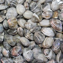 두팜 생물 바지락 1kg 바지락살 300g, 중국산 활바지락 1kg