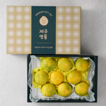 과일선물세트 제주 특산품 황금향 선물세트 명절 추석, 1박스, 3kg (5-15과)