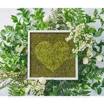 [모스랩 이끼액자] 인테리어 액자타입 공기정화 식물 미세먼지 새집증후군 제거효과, 블랙