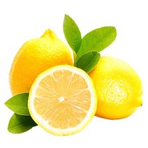 레몬12040 판매순위 가격비교