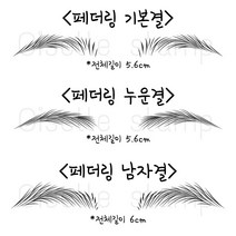 [ 페더링 눈썹 풀세트 지젤스탬프 ] 반영구 화장 재료 디자인 엠보 고무판 연습 눈썹 도장, 선택안함, 페더링 풀세트