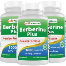 BEST NATURALS 베스트내추럴스 베르베린 플러스 1000 mg 120 정 X 3 병