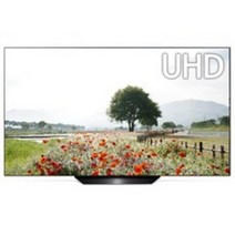LG전자 UHD OLED 163cm 올레드 TV OLED65B9BNA, 스탠드형, 방문설치, 163cm(65인치)
