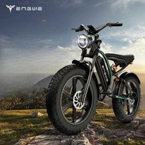 산악 전기 자전거 MTB 고성능 입문용 추천 펫바이크 LCD 바퀴큰, 상세 페이지 참고, K6 블랙 25A/전방 및 후방 오일 브레이크/충격 흡
