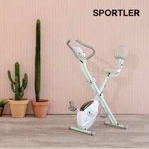 스포틀러 [기사방문설치] 스포틀러 엑스바이크 E2 실내 자전거 유산소 운동 기구, E2(등받이형), 라이트그레이