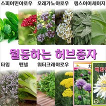 월동하는 허브종자, 6. 야로우  백색 0.1g, 1개
