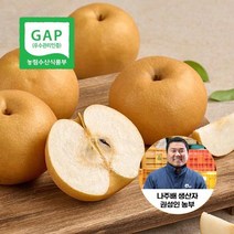 권성인농부의 나주햇배 원황배 가정용 3kg 6-9과, 1개