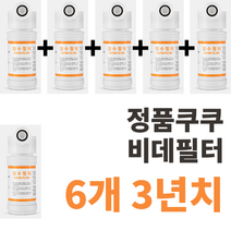 정품 쿠쿠비데필터 정품 진퉁 주황색라벨 6개 CBT-G1031W 등등, CBT-IS1031RW 6개