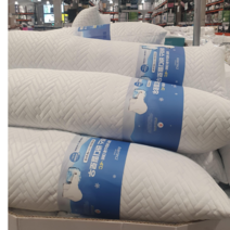 코스트코 알러텍트 알레스카 히말라야 냉감 아이스 바디필로우