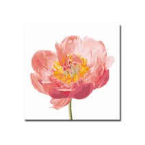 DIY캔버스페인팅 명화그리기 유화 세트 그림 액자, E28_핑크블룸