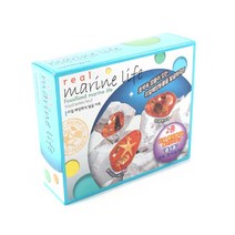 오키티리얼해양화석 발굴키트8236, 단품