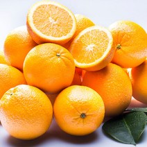 네이블 오렌지 20개입(300g내외) 대과, 오렌지 (300g내외) 20개입, 단품