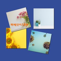 예닮 다쿠용 정사각 메모장 떡메 캐릭터메모지 귀여운메모지 예쁜메모지 칼라 대떡메 떡메모지 도안 떡메모지 제작 2권, 야자수