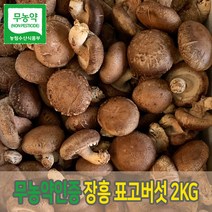 장흥 표고버섯 생표고 상품 가정용 실속형 버섯 1kg 2kg, 가정용 2kg