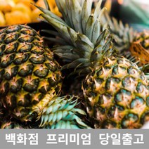 추천+ 가락청과네 파인애플 8kg 미니파인애플 과일 파인 G01:10D * WB81253, 선택= 1, 선택= 본상품선택