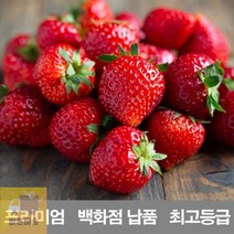 BD 제철_프리미엄_농장_냉동_1kg_만년설_국내산_청_백화점_설향_킹스베리_딸기_납품_금실_라떼 CB40, 상세페이지 참조