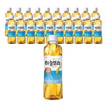 가성비 좋은 하늘보리500ml20 중 알뜰하게 구매할 수 있는 추천 상품