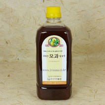 청운당농산 지리산 모과차 발효액 모과즙 원액 모과청 액기스, 1병, 900ml